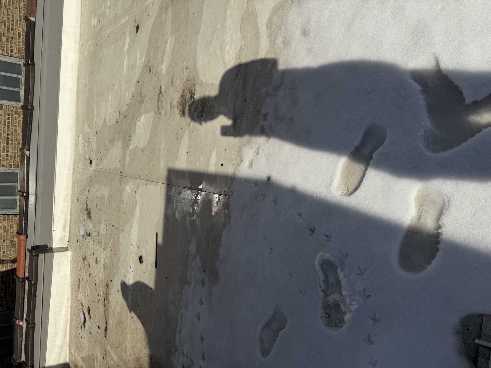 Roof - 5